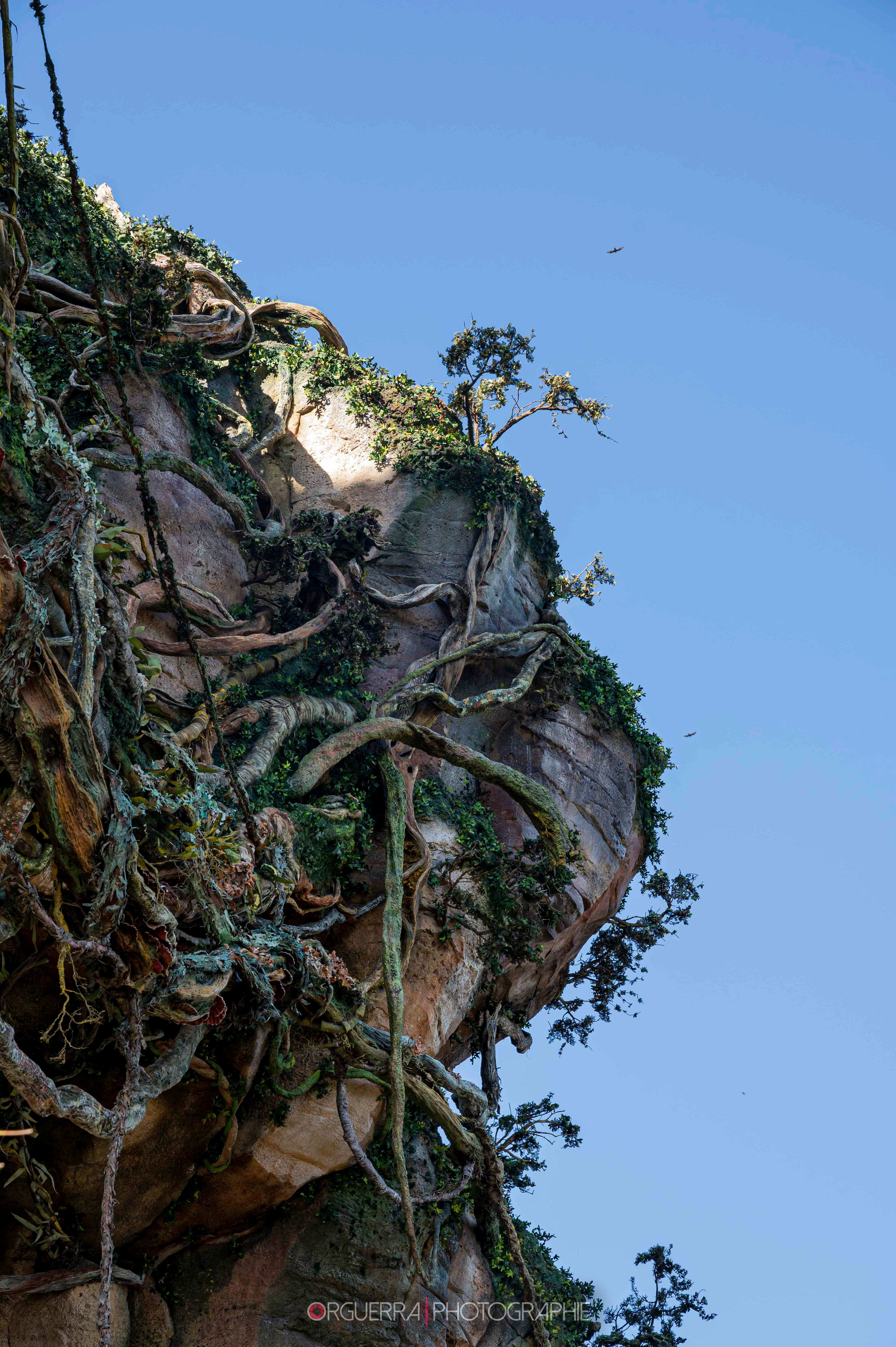 Magic Kingdom | Walt Disney World
